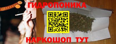 шишки Пушкино