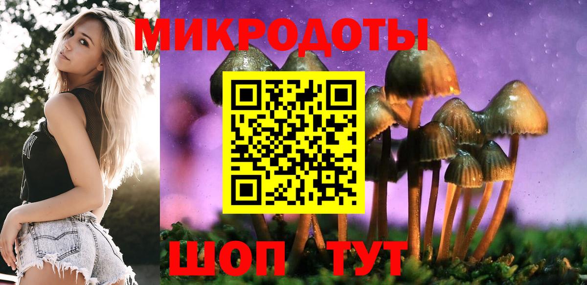 Галлюциногенные грибы Psilocybine cubensis Пенза